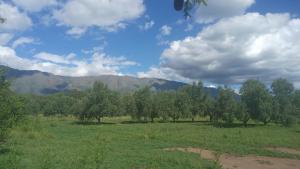 a field with trees and mountains in the background at Cultura Serrana in La Paz