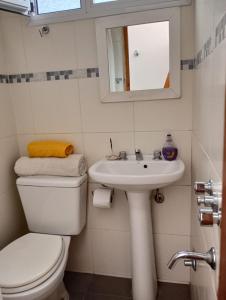 bagno con servizi igienici, lavandino e specchio di Bright brand new studio a Olivos