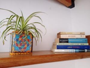 una pianta seduta su uno scaffale accanto a una pila di libri di Bright brand new studio a Olivos