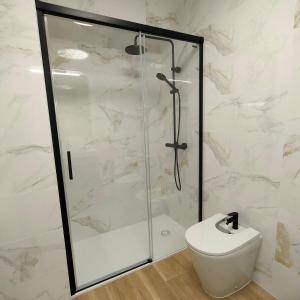 a bathroom with a shower and a toilet at CARMELA in Santiago de Compostela