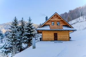 uma cabana de madeira na neve com árvores em Domek w Górach em Wierchomla Wielka