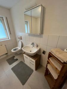 een badkamer met een wastafel, een toilet en een spiegel bij Diti Apartment in Lottstetten