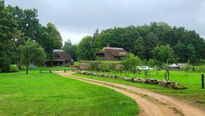 eine Schafherde auf einem Feld neben einem Haus in der Unterkunft Pūjalgi in Ēdole