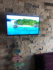 uma televisão de ecrã plano pendurada numa parede de tijolos em Apart hotel protomy em Villa Luzuriaga