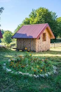 O grădină în afara Maple bungalows