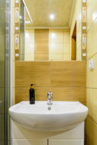 a bathroom with a white sink and a mirror at Willa Patryk in Zakopane