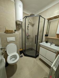 a bathroom with a shower and a toilet and a sink at BratSki Apartman - 200m od gondole in Brzeće