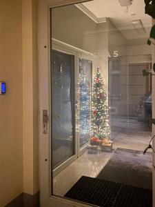 a christmas tree is seen through a glass door at Wąska 5 Apartamenty in Wrocław