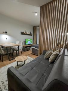 TV a/nebo společenská místnost v ubytování BratSki Apartman - 200m od gondole
