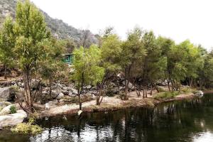 a river with trees and a house in the background at Retro Casita on the River! only 1 min to SNP gate! in Three Rivers