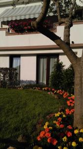 Zahrada ubytování Apartments Mari