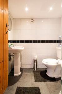 a bathroom with a toilet and a sink at The Retreat in Llanrhaeadr-ym-Mochnant