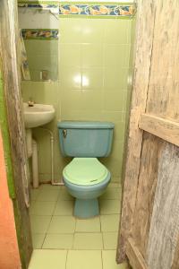 a bathroom with a blue toilet and a sink at Hotel Imperio Copacabana in San Agustín