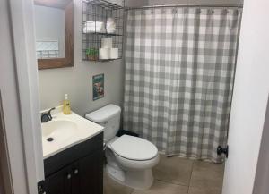 a bathroom with a toilet and a sink and a shower at *3 blocks from AT&T Stadium* 2 bedroom-sleeps 6 in Arlington