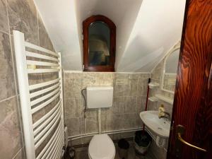 a small bathroom with a toilet and a sink at Vila Dukat Stara Planina in Crni Vrh