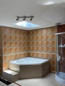y baño con bañera y ducha. en Amplia habitación con Jacuzzi y aire acondicionado, en Valdivia