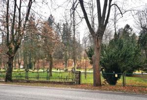 a fence in front of a park with a tree at Apartament Zdrój in Długopole-Zdrój