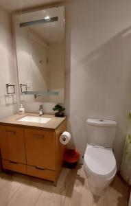 een badkamer met een toilet, een wastafel en een spiegel bij Apartamento 2 Cuartos 1 Bano in Victoria