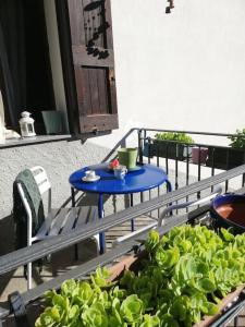 uma mesa azul e algumas plantas verdes numa varanda em Casa d'artista em Roncola