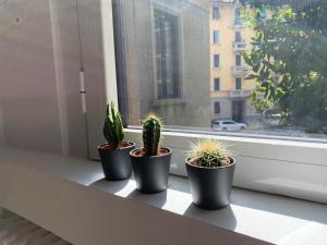 tre piante in vaso sedute sul davanzale di una finestra di Porta Venezia New Luxury apt - wifi full equiped a Milano