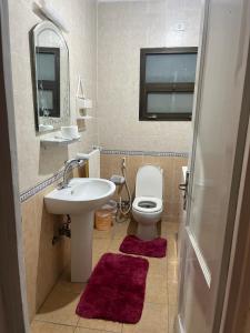 カイロにあるRehab City Apartmentの洗面台、トイレ、鏡のあるバスルーム