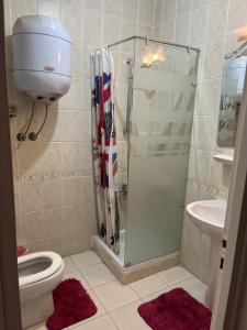 uma casa de banho com um chuveiro, um WC e um lavatório. em Rehab City VIP Full Serviced Apartment الرحاب Guest satisfaction guaranteed em Cairo