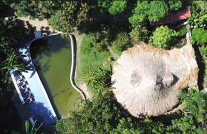 uma vista aérea de um grande toco de árvore ao lado de uma massa de água em Finca Los Mangos em Palomino