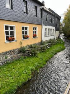 a house with flowers in windows and a river at Ferienwohnung im ehemaligen Rittergut in Wurzbach
