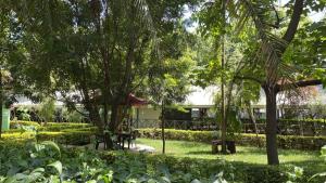 un parque con árboles y un edificio al fondo en Jungle Green Resort, Kiutine en Meru