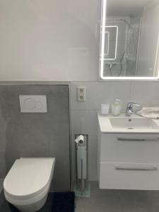 W łazience znajduje się toaleta, umywalka i lustro. w obiekcie Traveller w mieście Osnabrück