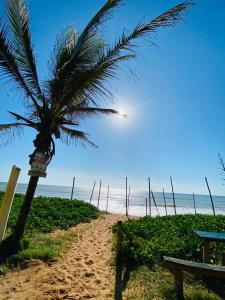 una palma su una spiaggia sabbiosa con l'oceano di Pousada Sol & Mar a Serra