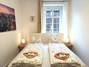 una camera con due letti con cuscini e una finestra di Helle Grosse Wohnung Fuer Bis Zu 6 Personen - HW3b a Sebnitz