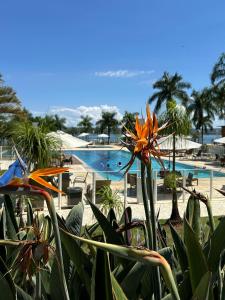 - une vue sur un complexe avec une piscine et des fleurs dans l'établissement Harmonia à Beira do Lago - Life Resort, à Brasilia
