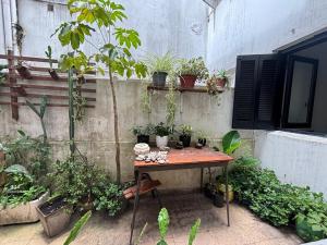 a table with a bunch of potted plants on it at Departamento temporal para 4 personas in Mar del Plata