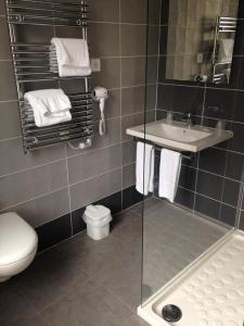 a bathroom with a sink and a toilet and a mirror at Hôtel François 1er in Saint-Dizier