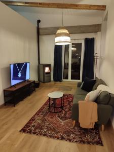 Le chaleureux loft 1 minute du tram في لينغولسهايم: غرفة معيشة مع أريكة وتلفزيون