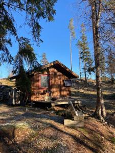 una cabaña de madera en medio de un bosque en Typisk norsk off-grid hytte opplevelse, en Levanger