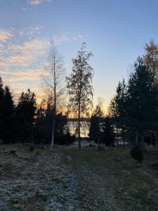 two trees in a field with the sunset in the background at Typisk norsk off-grid hytte opplevelse in Levanger