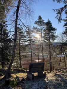 a bench sitting in the woods with the sun in the background at Typisk norsk off-grid hytte opplevelse in Levanger