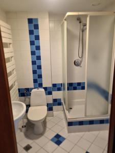a bathroom with a shower and a toilet and a sink at Hotel Sutoris in Bochnia
