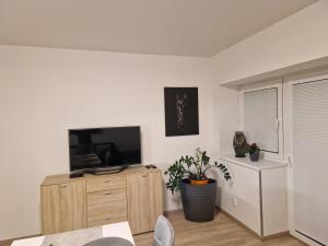 una sala de estar con TV de pantalla plana en un armario de madera en Apartmán NH Stables, en Nýřany