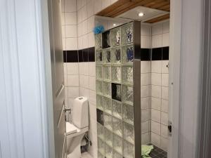 a bathroom with a toilet and a glass tile wall at Rom midt i Oslo sentrum- gå avstand til det meste in Oslo