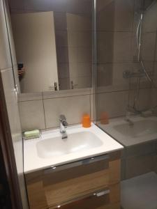 y baño con lavabo y ducha. en appartement en duplex dans un chalet typique, en Valloire