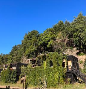 una vieja casa con hiedra al lado de una colina en Reserva los Bollenes en Constitución