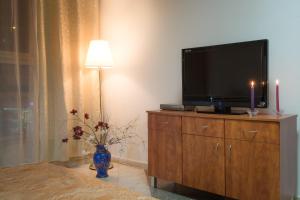 TV a/nebo společenská místnost v ubytování Hotel Rothschild 37