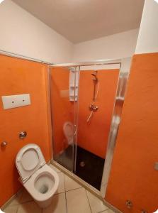 een badkamer met een toilet en een douche bij Oasi in Malcesine