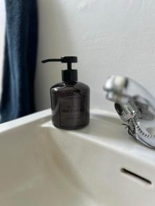 uma garrafa de sabão para a boca sentada no lavatório da casa de banho em Lakeside Apartments em Egilsstadir