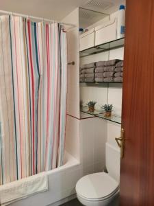 a bathroom with a shower curtain and a toilet at Apartamento Estriva in Ezcaray