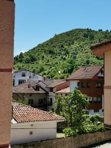 a view of a city with a hill in the background at Apartamento Estriva in Ezcaray