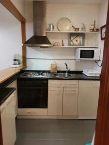 a kitchen with a stove and a sink and a microwave at Apartamento Estriva in Ezcaray